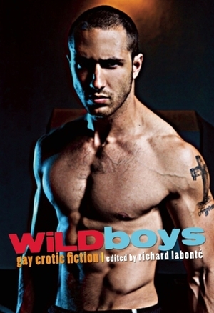 Wild Boys: Gay Erotic Fiction by Davem Verne, Richard Labonté