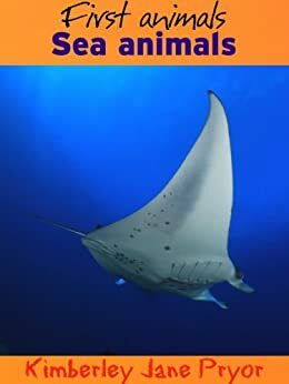 Sea animals by Kimberley Jane Pryor