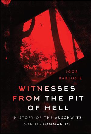 Witnesses from the Pits of Hell: History of the Auschwitz Sonderkommando by Igor Bartosik