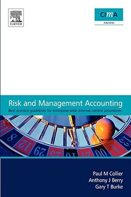 Risk and Management Accounting: Best Practice Guidelines for Enterprise-Wide Internal Control Procedures by Andrew Berry, Gary T. T. Burke, Paul M. M. Collier