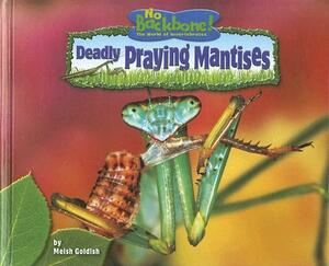 Deadly Praying Mantises by Meish Goldish