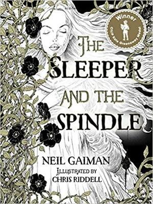 Người Đẹp Ngủ Và Con Thoi Ma Thuật by Neil Gaiman