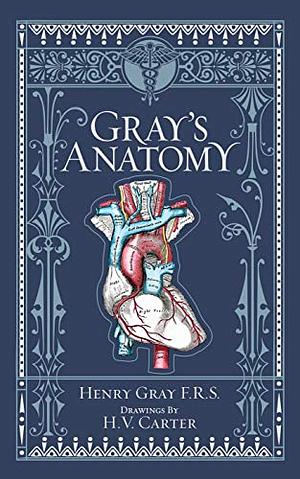 Anatomy : descriptive and surgical by Henry Gray