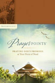 Prayerpoints: Praying God's Promises at Your Point of Need by Ken Petersen