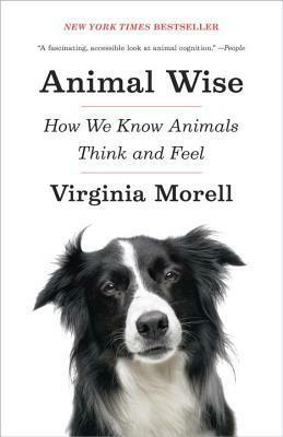 Animal Wise: How We Know Animals Think and Feel by Virginia Morell