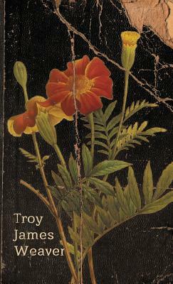 Marigold by Troy James Weaver