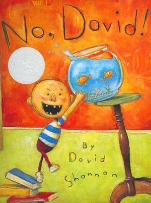 No, David! by David Shannon