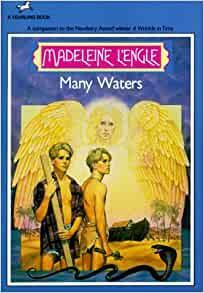Many Waters by Madeleine L'Engle