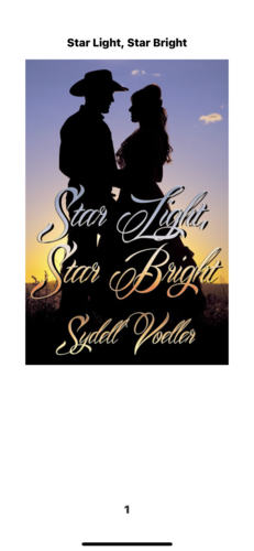 Star Light Star Bright  by Sydell Voeller