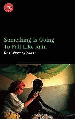 Something is Going to Fall Like Rain by Ros Wynne-Jones, Ros Wynne-Jones