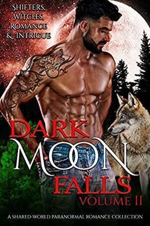 Dark Moon Falls: Volume 2 by Cora A. Murray, Skye Jones, Susan Griscom, T.G. Ayer, Lia Davis, S.J. Pierce, Robbie Cox, C.D. Gorri, Rosalie Redd, Ava K. Michaels, Elaine Barris, Tami Lund, Bella Roccaforte