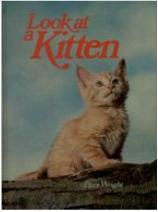 Look at a Kitten by Dare Wright