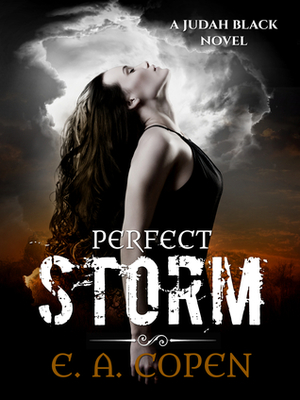 Perfect Storm by E.A. Copen
