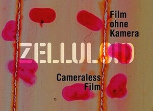 Zelluloid: Film Ohne Kamera/Cameraless Film by Kristina Köper, Ann Withers, Annette Wiethüchter, Esther Schlicht, Stefan Barmann, Steven Lindberg