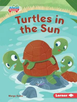 Turtles in the Sun by Margo Gates
