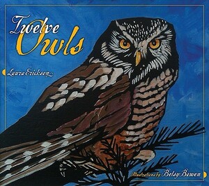 Twelve Owls by Laura Erickson