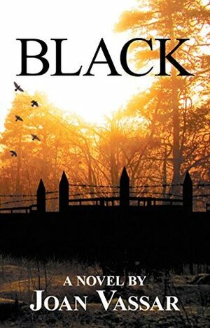 BLACK by Joan Vassar