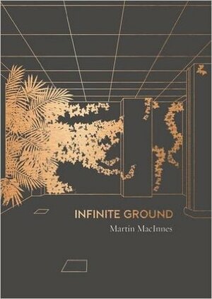 Infinite Ground by Martin MacInnes