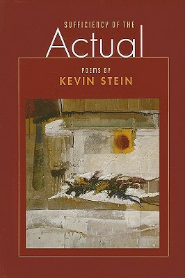 Sufficiency of the Actual by Kevin Stein