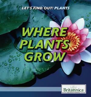 Where Plants Grow by Rebecca Kraft Rector