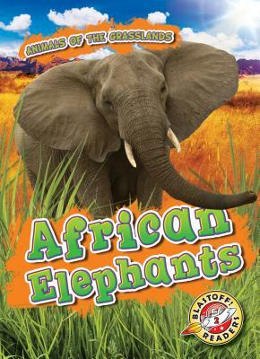 African Elephants by Kaitlyn Duling