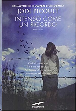 Intenso come un ricordo by Jodi Picoult