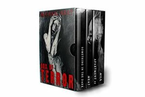 Box of Terror (4 book horror box set) by Michael Bray