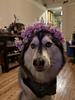 erin04's profile picture