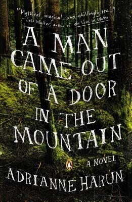 A Man Came Out of a Door in the Mountain by Adrianne Harun