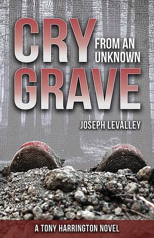 Cry from an Unknown Grave by Joseph LeValley