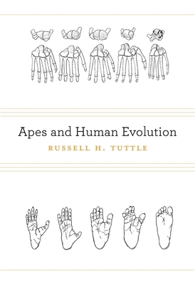 Apes and Human Evolution by Russell H. Tuttle