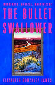 The Bullet Swallower by Elizabeth Gonzalez James