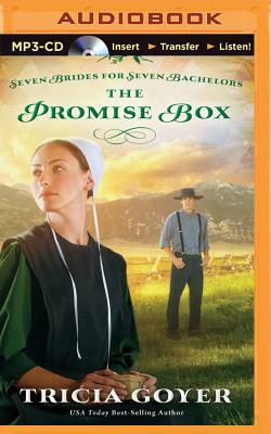 The Promise Box by Tricia Goyer