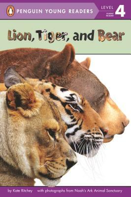 Lion, Tiger, and Bear by Kate Ritchey