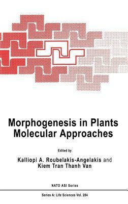 Morphogenesis in Plants: Molecular Approaches by 