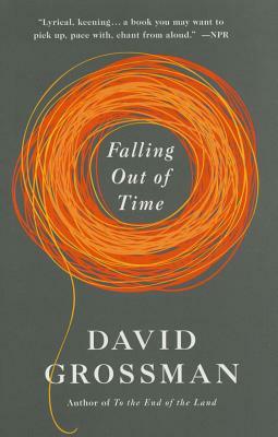 Falling Out of Time by David Grossman