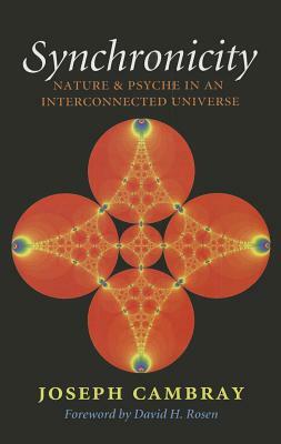 Synchronicity: Nature and Psyche in an Interconnected Universe by Joseph Cambray