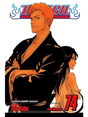 Bleach, Vol. 74: The Death and the Strawberry by Tite Kubo