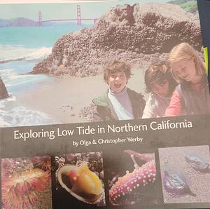 Exploring Low Tide in Northern California by Olga Werby, Christopher Werby