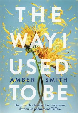 The Way I Used to Be by Amber Smith