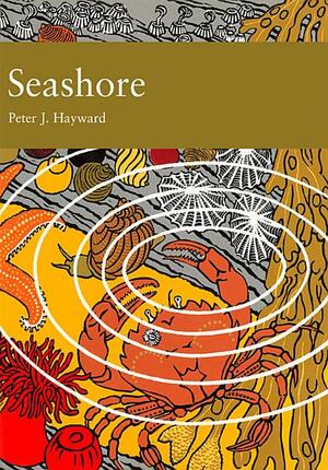 Seashore by Peter J. Hayward