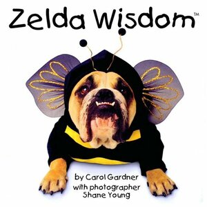 Zelda Wisdom by Shane Young, Carol Gardner