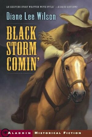 Black Storm Comin by Diane Lee Wilson