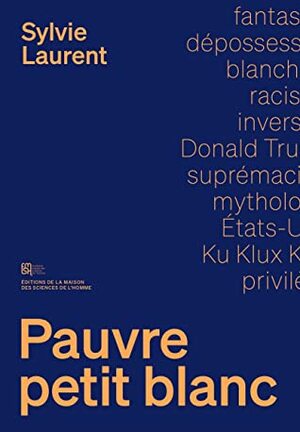 Pauvre petit blanc - Le mythe de la dépossession raciale by Sylvie Laurent