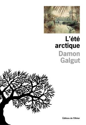 L'été arctique by Damon Galgut, Hélène Papot