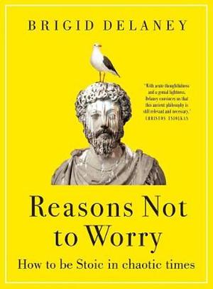 Reasons Not to Worry: How to be stoic in chaotic times by Brigid Delaney