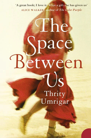 The Space Between Us by Thrity Umrigar