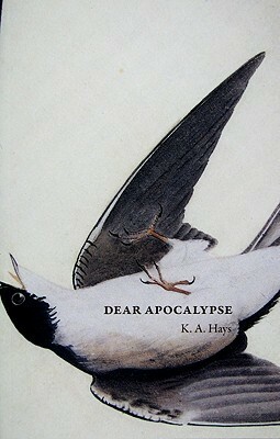 Dear Apocalypse by K.A. Hays