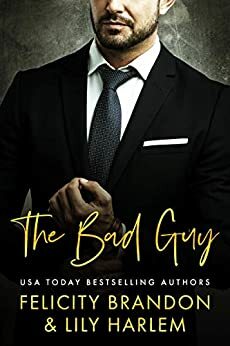 The Bad Guy by Felicity Brandon, Lily Harlem