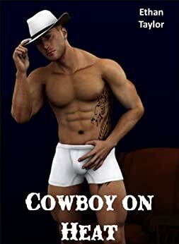 Cowboy on Heat by Ethan Taylor
